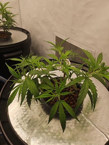 Growreport Bild 23