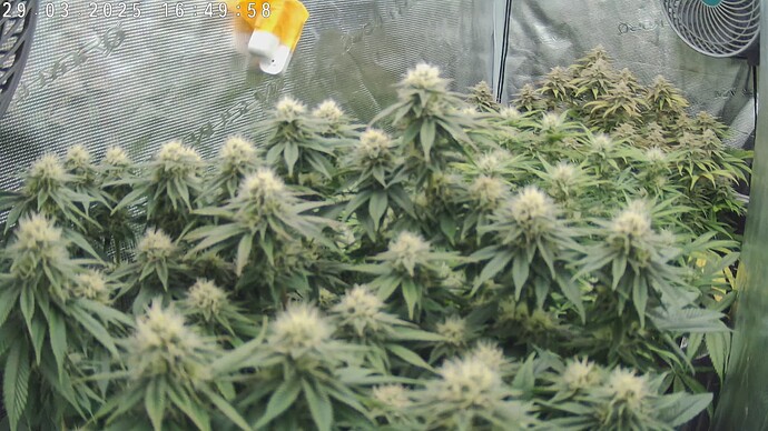 Growreport Bild 1