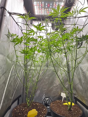Growreport Bild 4