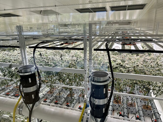 Growreport Bild 19