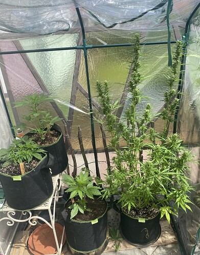 Growreport Bild 1