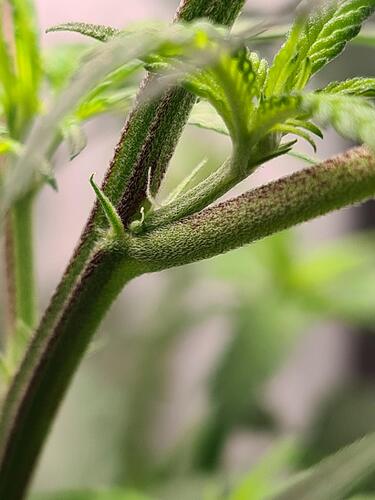 signal-2024-08-01-105838