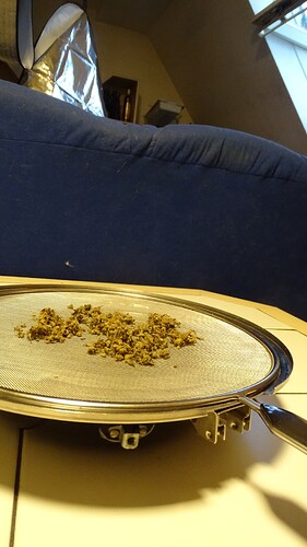 Growreport Bild 6