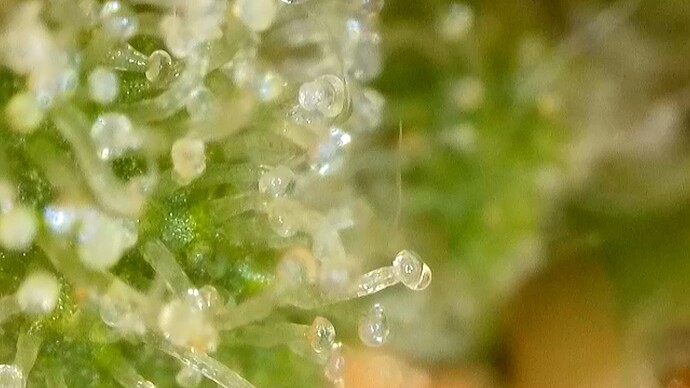 2024-06-29-14-36-05-925