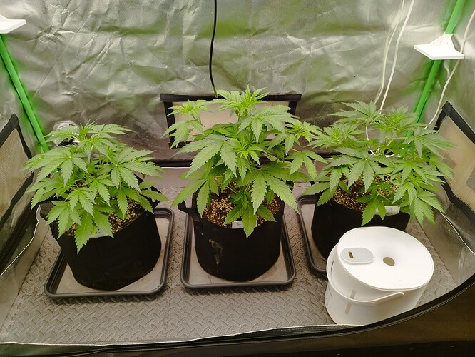 Growreport Bild 8