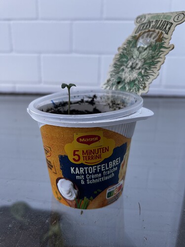 Growreport Bild 21