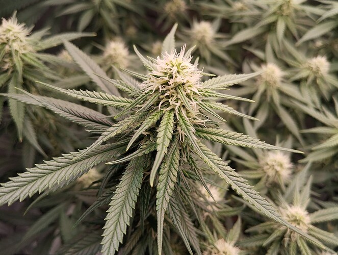 Growreport Bild 17