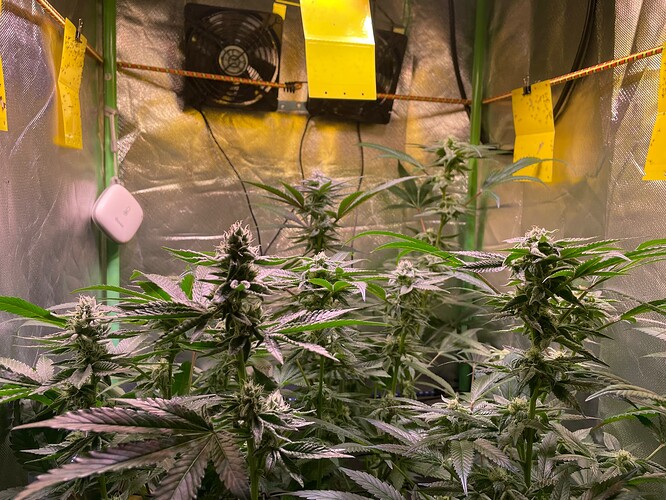 Growreport Bild 22