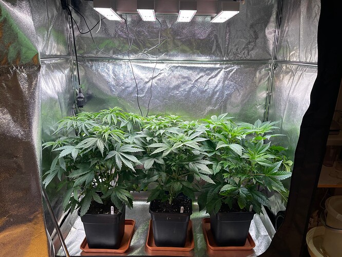 Growreport Bild 21