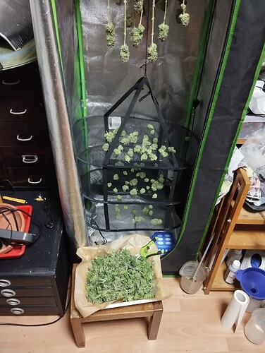 IMG_20250311_232846 - Kopie