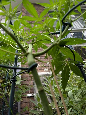 Growreport Bild 9