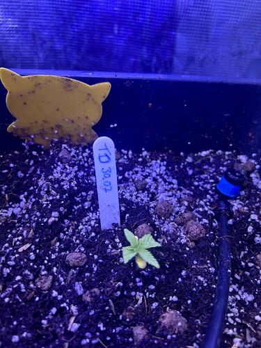 Growreport Bild 10