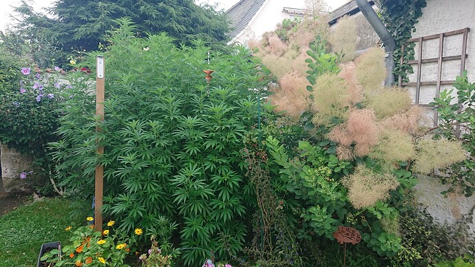 Growreport Bild 9