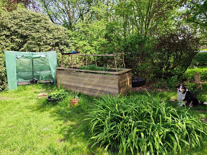 Growreport Bild 3