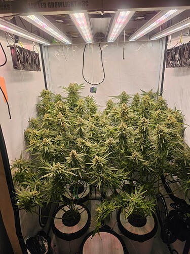 Growreport Bild 6