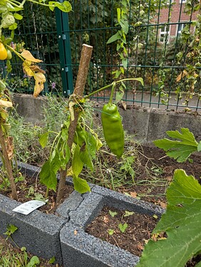 Growreport Bild 20