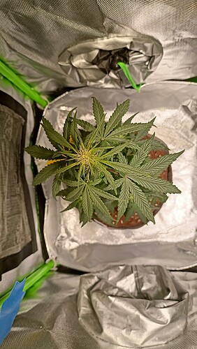 Growreport Bild 9