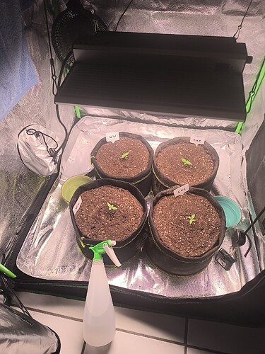 Growreport Bild 1