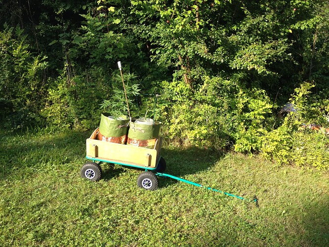 Growreport Bild 3