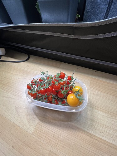 Growreport Bild 6