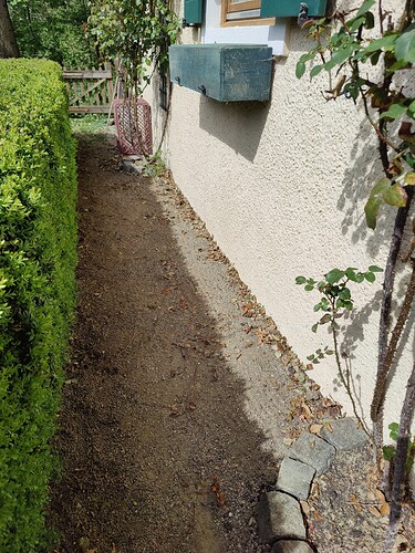 Growreport Bild 1
