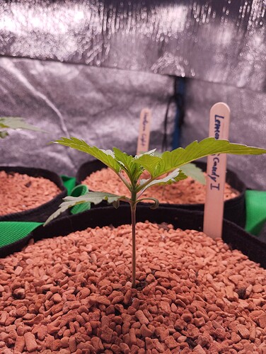 IMG_20241130_154828 - Kopie