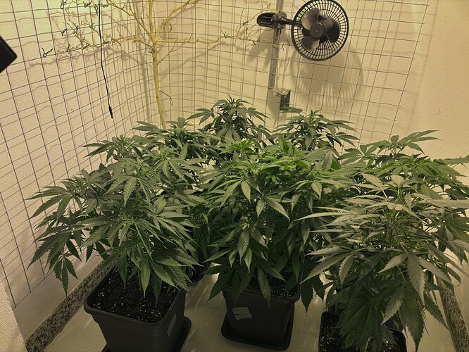 Growreport Bild 9