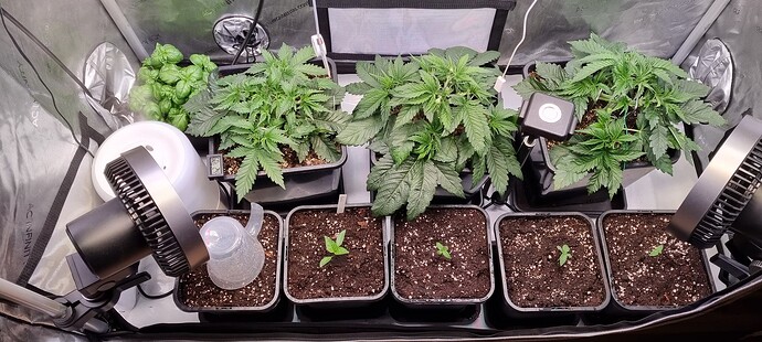 Growreport Bild 18