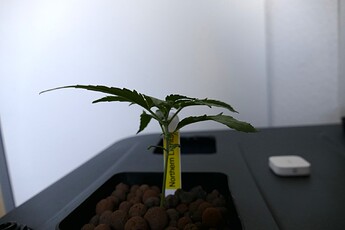 NL2_A_KT14_1