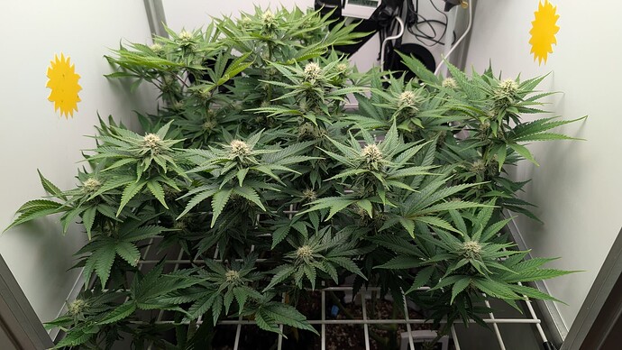 Growreport Bild 8