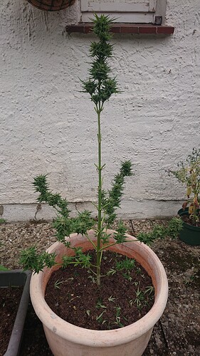 Growreport Bild 1