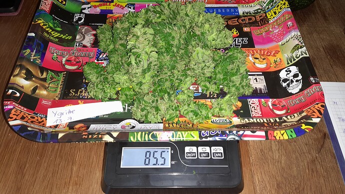 Growreport Bild 9
