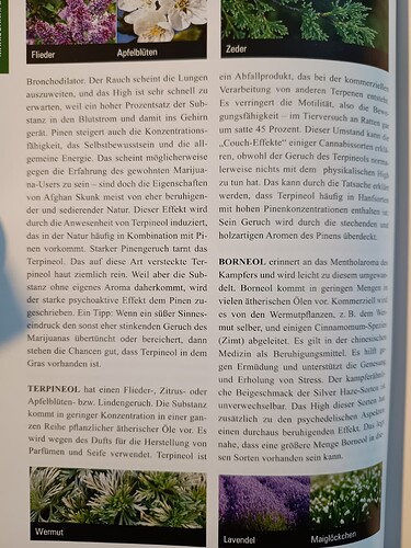 IMG_20240423_163659700_20240423_163806