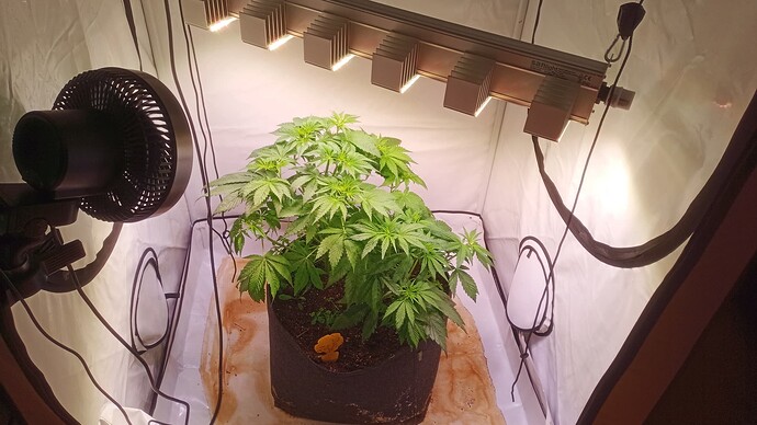 Growreport Bild 1