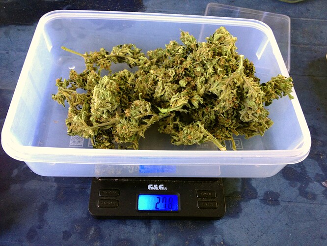 Growreport Bild 3