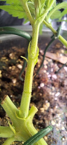 Growreport Bild 11