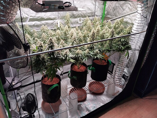 Growreport Bild 17