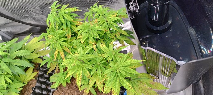 IMG_20251024_092628652_HDR