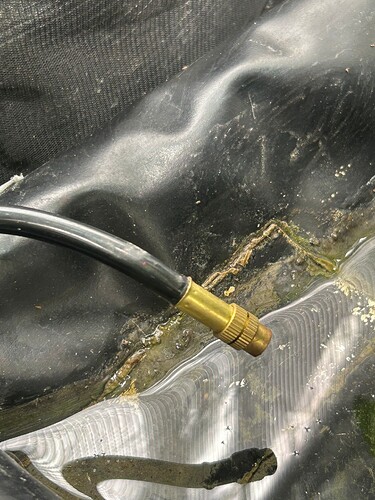 Growreport Bild 37