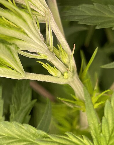 Growreport Bild 31