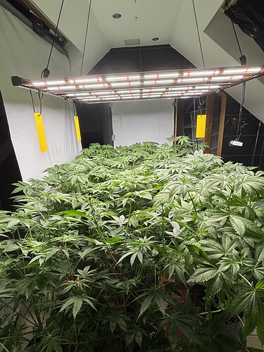 Growreport Bild 11