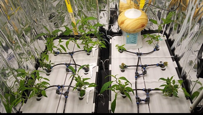 Screenshot_20250318_140623