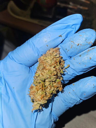 Growreport Bild 2