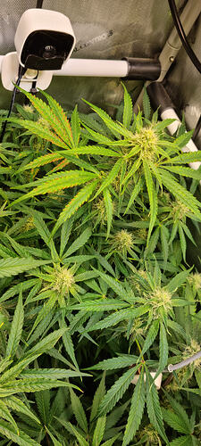 Growreport Bild 21