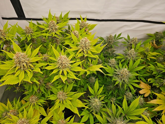 Growreport Bild 10