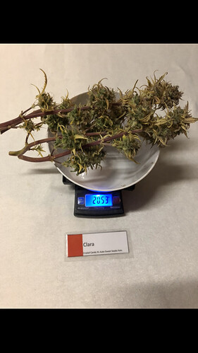 Growreport Bild 11