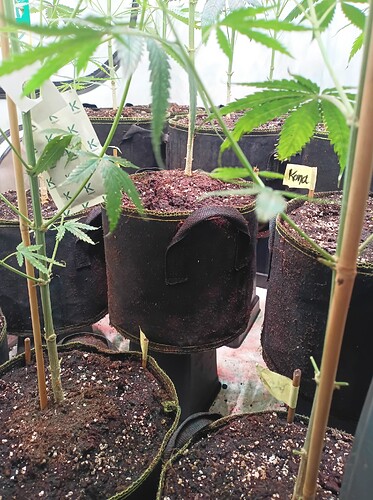 Growreport Bild 10
