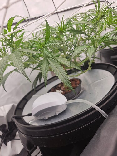 Growreport Bild 10