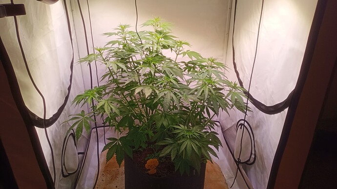 Growreport Bild 6