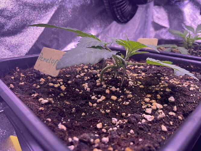 Growreport Bild 9